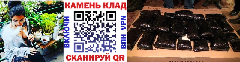 ГАШ Premium Купить Элиста