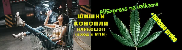 прущая мука Дмитриев