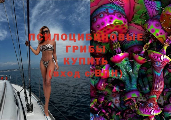 прущая мука Дмитриев