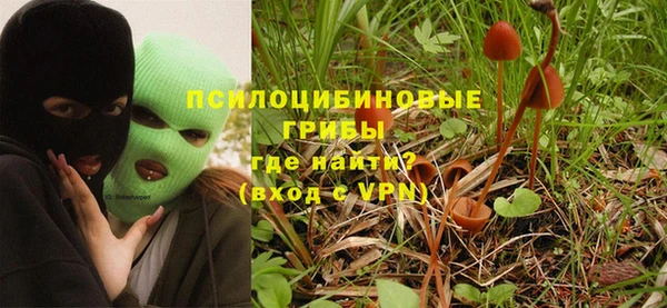 винт Елизово