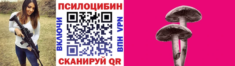 Галлюциногенные грибы мицелий  Купить  Элиста 